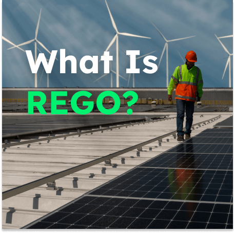 REGO Guide Featured Image