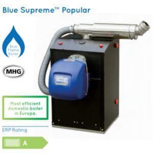 Firebird Blue Supreme Popular Regular Oil Boiler.